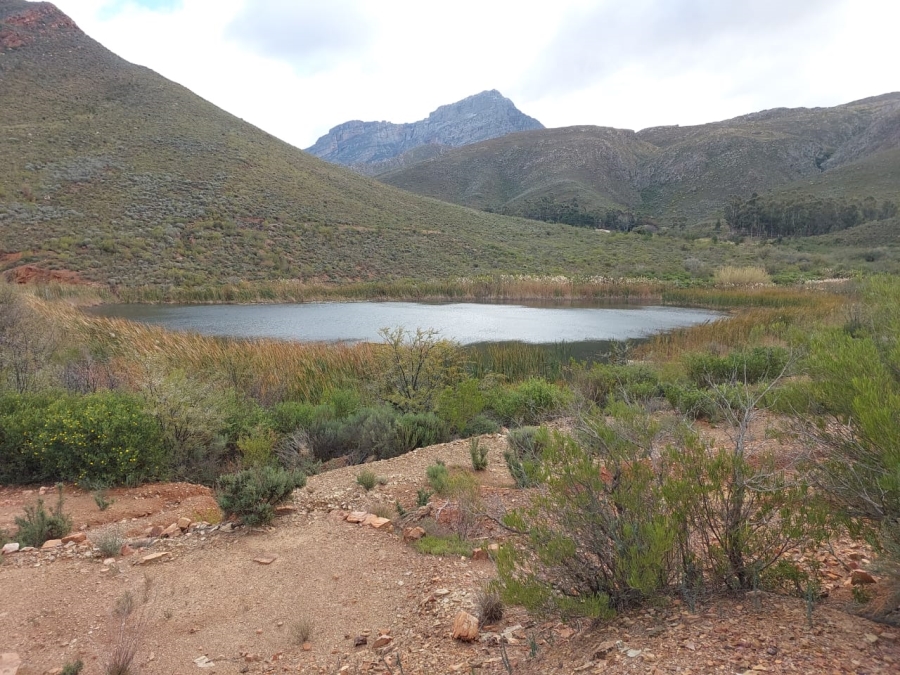 7 Bedroom Property for Sale in Ladismith Rural Western Cape